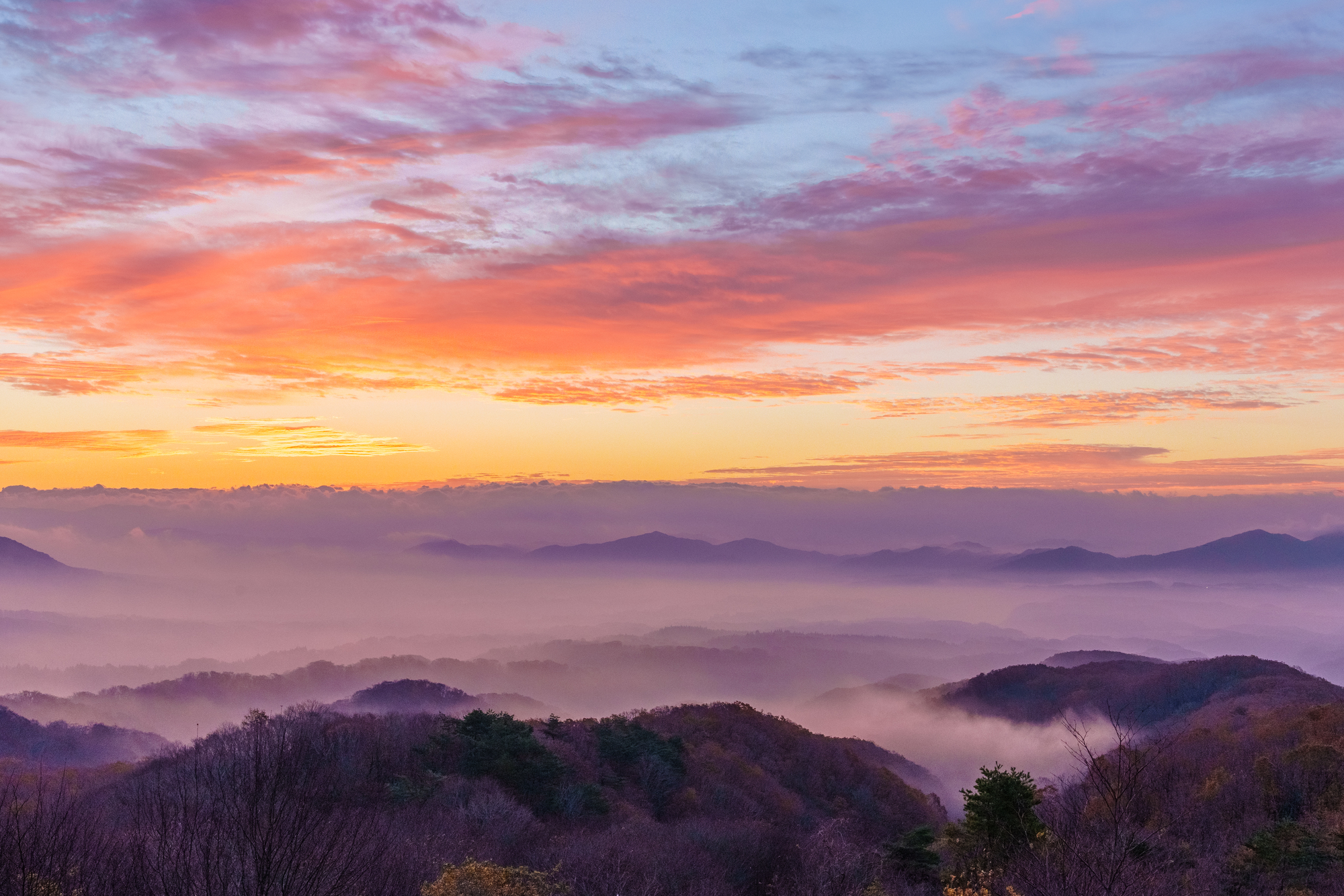 蒜山高原の夜明けの画像